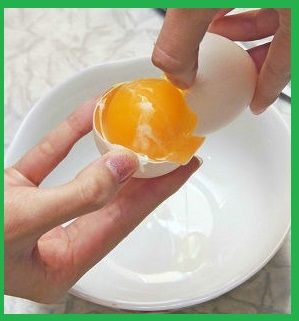 Huevo cocido para curar nacido